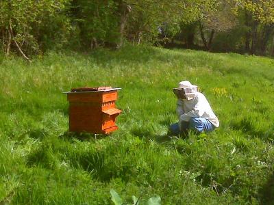 Un apiculteur devant sa ruche